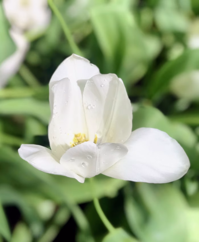 blog6